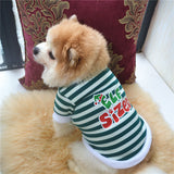 WufflyPets Xmass Fit Sweater